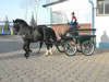 Trainingswagen III