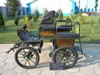 Wagonette 9197